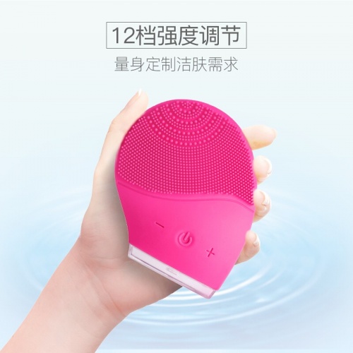 Westinghouse-美國西屋電氣潔面儀J1