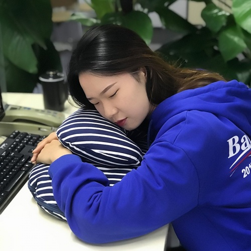 天琴 全棉護肘趴趴枕 枕被